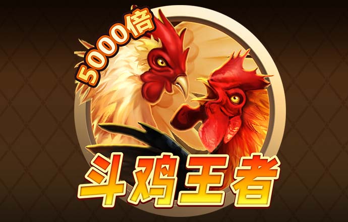 九州体育入口